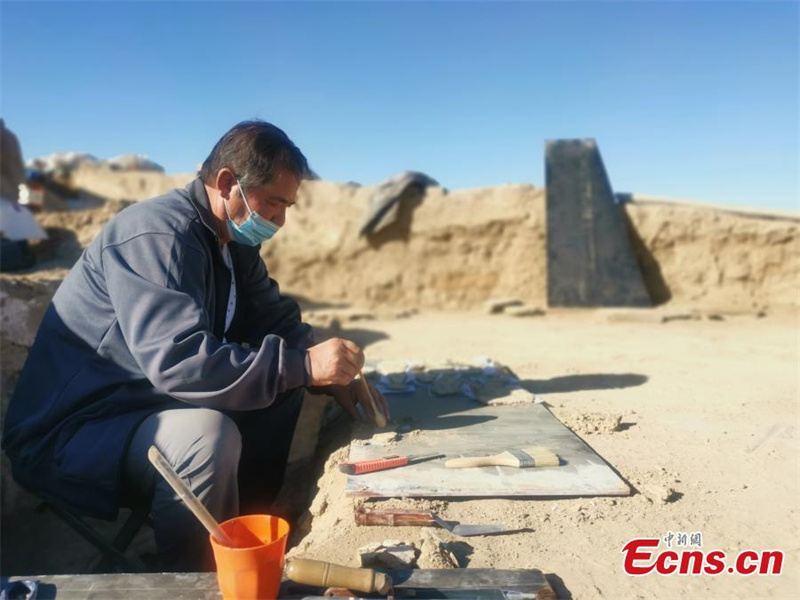 Μεγ?λο? αριθμ?? κειμηλ?ων αποκαλ?φθηκε στα ερε?πια των Τανγκ στην επαρχ?α Σιντζι?νγκ