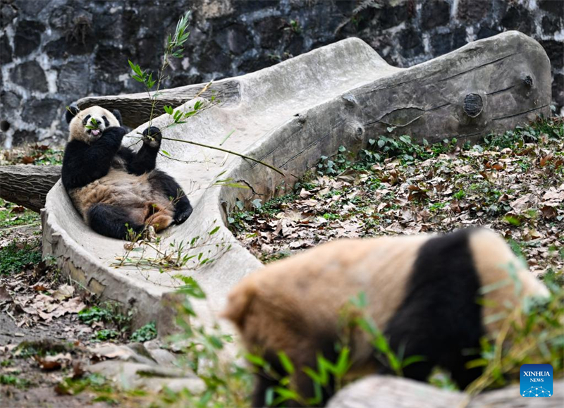 (Φωτογραφ?α: Xinhua/Wang Xi)