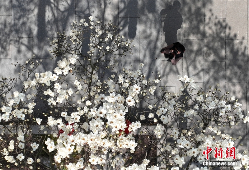 (Φωτογραφ?α: China News Service / Wang Gang)
